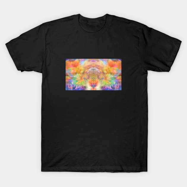 Sky of Wonder T-Shirt by ArtistsQuest